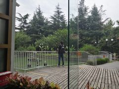 -园林格兰云天大酒店-太极名厨中餐厅