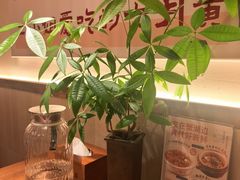 -周家二小姐的菜·扬州菜·香炒蟹·狮子头(江都金鹰店)