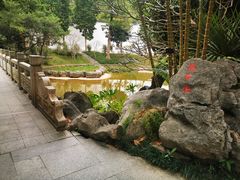 -深圳国际园林花卉博览园