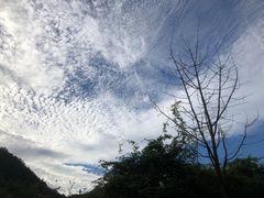 -梦娜斯庄园