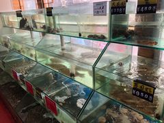 水产区-雅逸居海鲜小厨