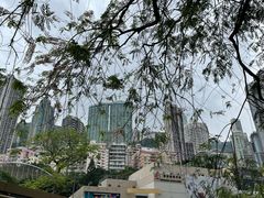 -尼依格罗香港美利酒店