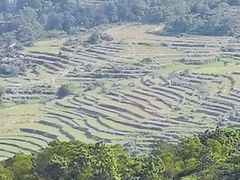 -大姆山草场