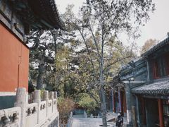 -潭柘寺景区