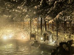 -汉拿山温泉度假酒店