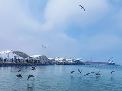 -海驴岛(荣成市)