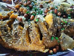 -眼镜哥浦江夜宵大本营