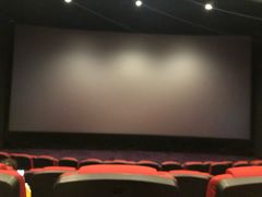 -金逸影城(荟聚IMAX激光店)