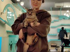 -萌喵咖啡屋(人民东路4号口M16商铺店)
