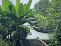 -杭州植物园