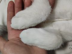 -联合动物医院(光谷诊疗中心)