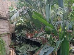 -石家庄市植物园