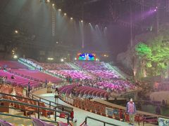 -广州长隆国际大马戏