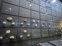 -北京周口店北京人遗址博物馆