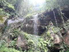 -蜀南竹海景区
