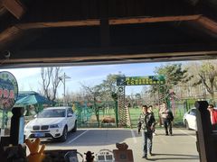 -尚庄度假村·庭台树下·户外烧烤·团建CS·轰趴营地(上庄水库店)