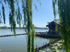 -胡马八破·川菜小馆(高新万达店)