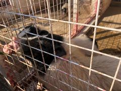 -金庭庄园酒店-停车场