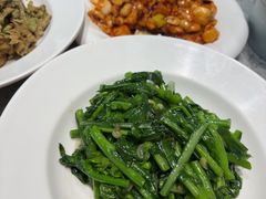 -紫光园·烤鸭·北京菜(劲松店)