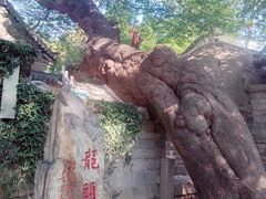 -青岛崂山太清宫