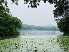 -茅家埠