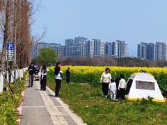 -南京眼步行桥
