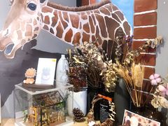 -晓风书屋(大学路店)