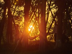 -三圣花乡旅游区