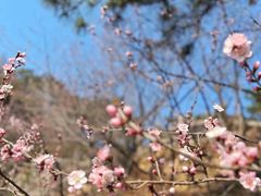 -天津盘山风景名胜区