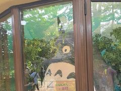 -三鹰之森吉卜力美术馆