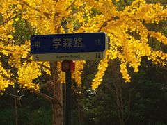 -上海交通大学(闵行校区)