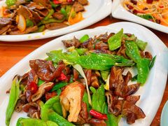 尖椒肥肠-春发芽葫芦头(科技二路旗舰店)