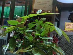 -湘当爱·鲜煮现炒(松岗立业路店)