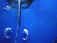 -南昌海洋公园