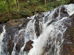 -莫里热带雨林景区
