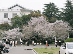 -武汉大学-樱园