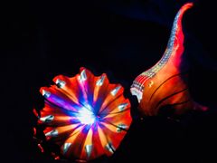 景点&nbsp;灯光秀-贝壳梦幻世界