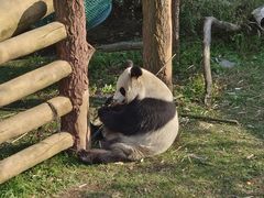 -沈阳森林动物园