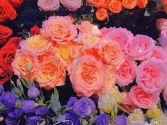 -blt精品超市(KKMALL京基店)