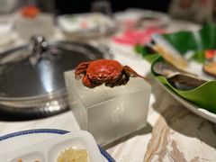 -汤城·料青山