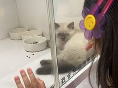 -深圳湾万象城(南山店)