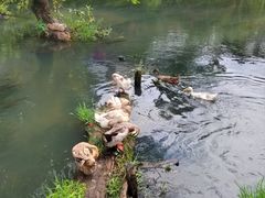 -和顺古镇
