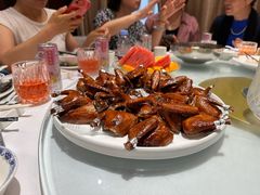 -席家花园(巨鹿花园店)