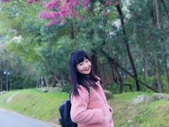 -天龙八部武侠城