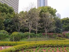 -人民广场