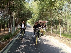 -合肥滨湖国家森林公园