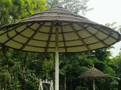-广东花都香草世界旅游度假区
