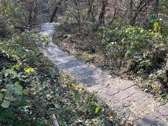 -南京市江宁方山