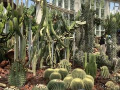 -昆明植物园
