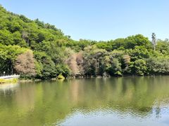 -广西壮族自治区药用植物园